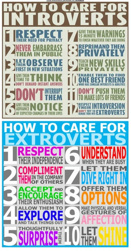 caring-for-your-introvert-and-extrovert